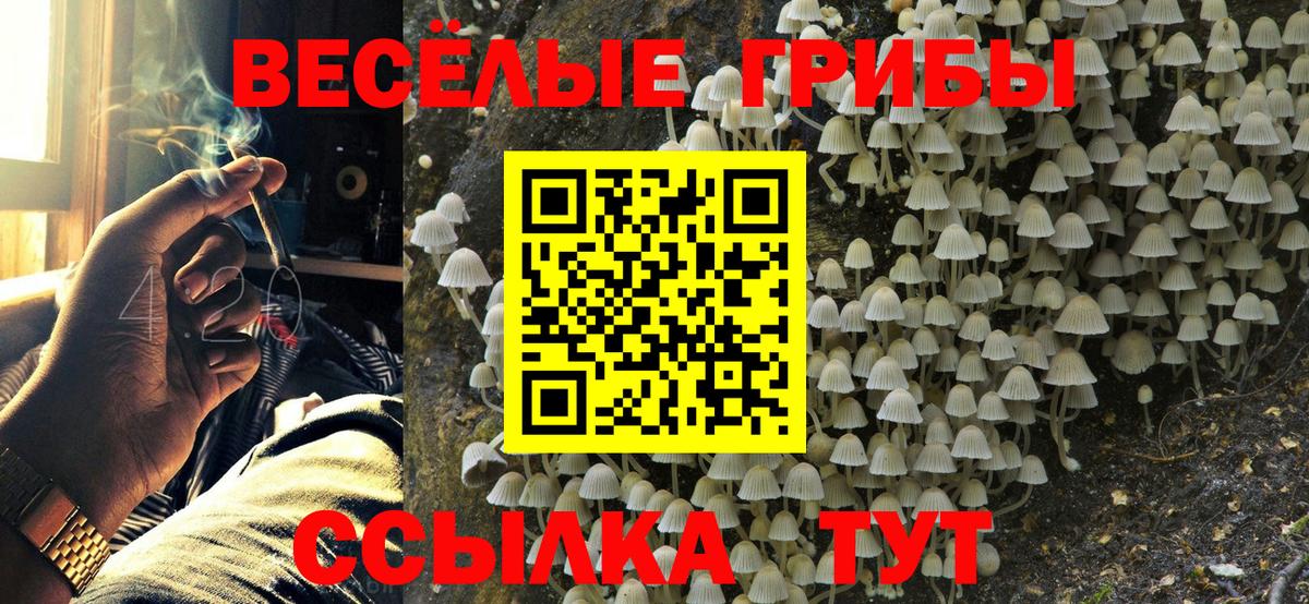 Малоярославец  Псилоцибиновые грибы мухоморы  Вход с VPN 